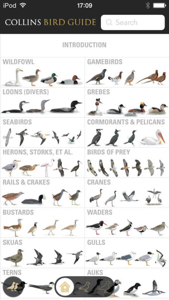 Collins Bird Guide Introduction