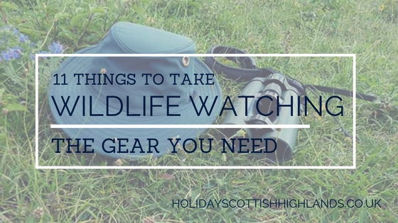 Blog - things to take wildlife watching