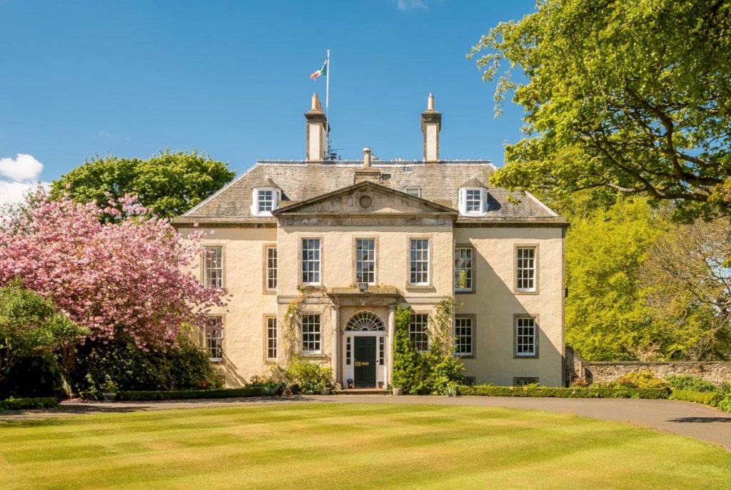 Blossom Mansion - mansion with lawns and blossom trees
