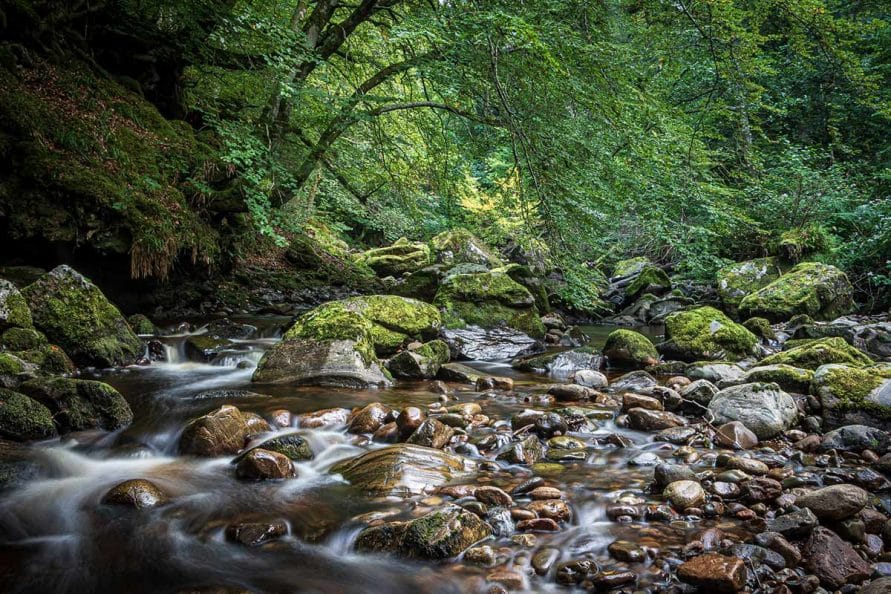 Cawdor Forest - things to do near Nairn