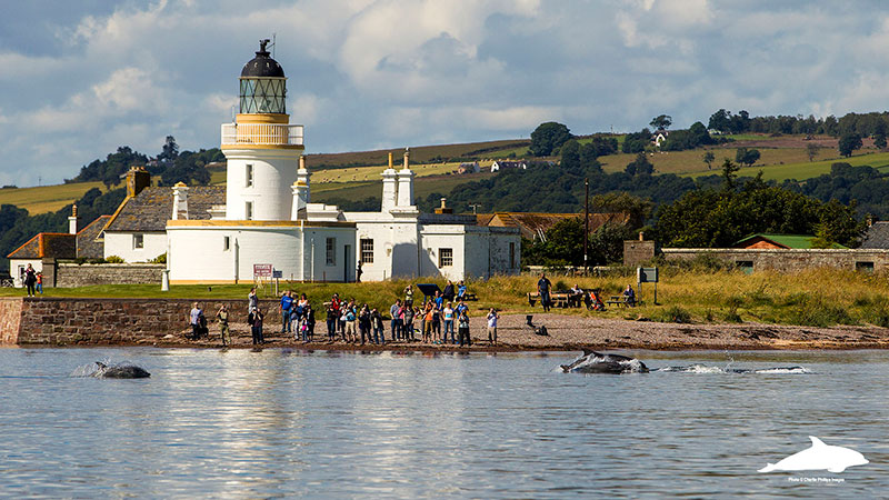 Chanonry Point from the sea