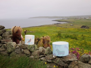 Julie Williamson Designs lampshades with some suitably impressed Shetland ponies