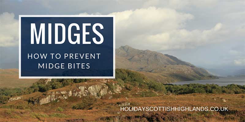 best midge repellent Scotland UK