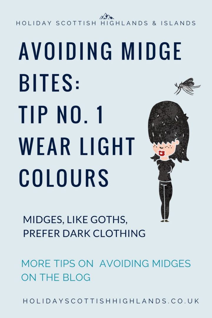 Midges in Scotland (2021) best midge repellent, how to prevent midge bites