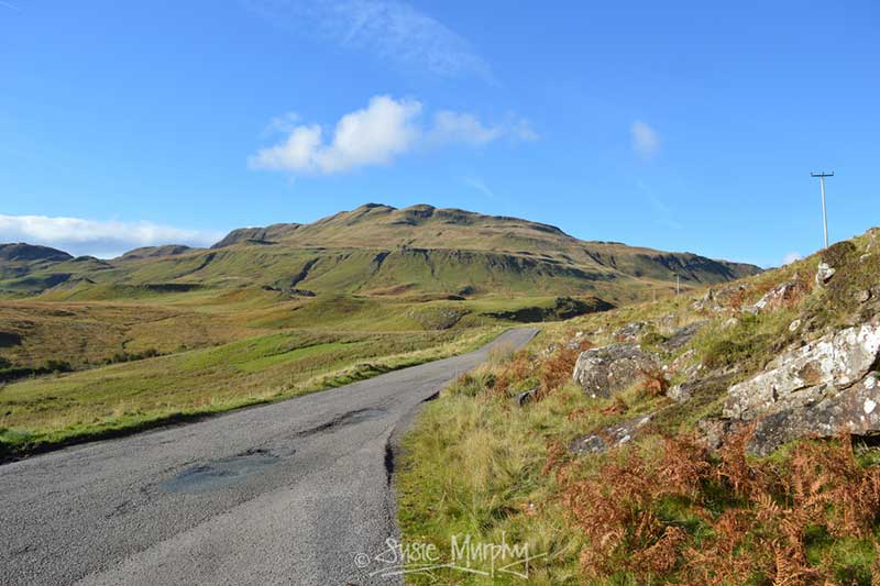 Ardnamurchan road