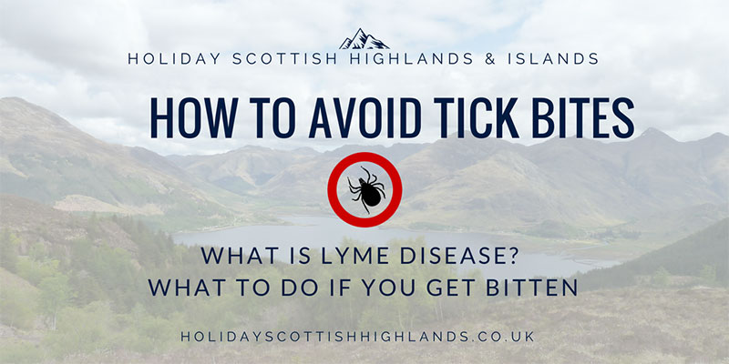 What is Lyme disease and how to avoid tick bites