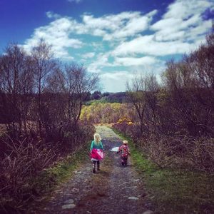 Walks on Ulva