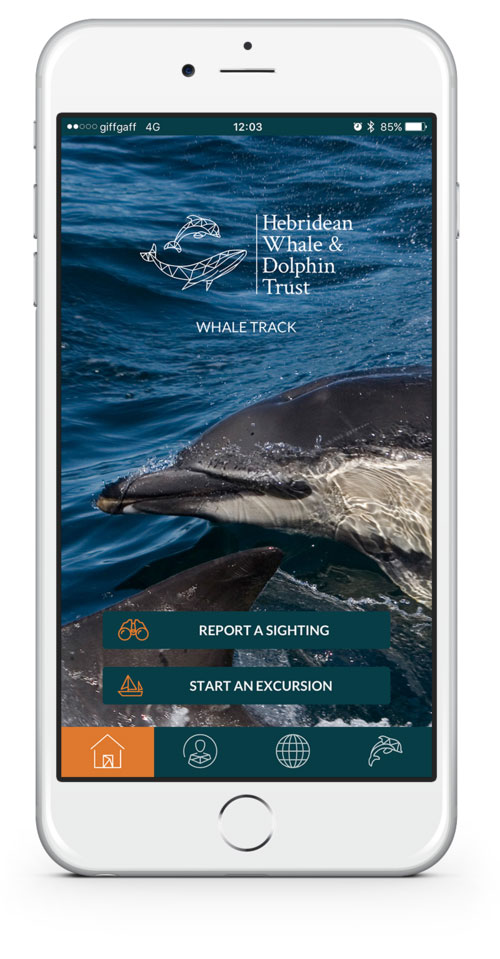 Whale Track app screen shot