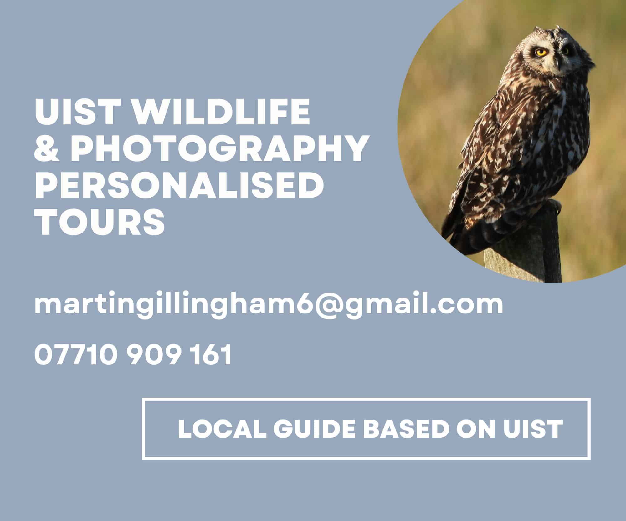 Uist wildlife tours