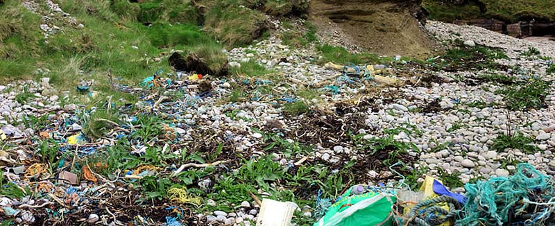 beach clean rubbish
